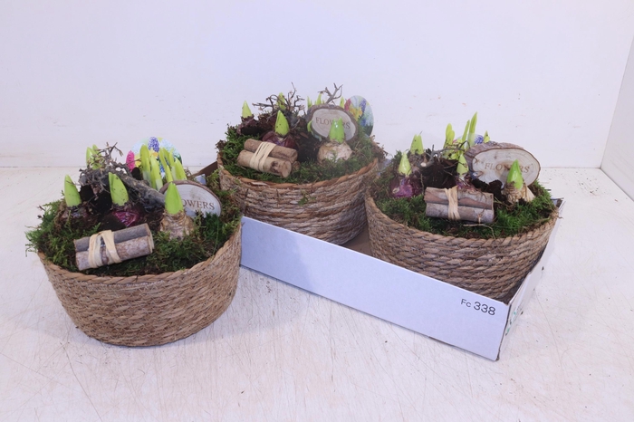 <h4>ARR BOL KNOLGEWAS</h4>