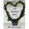 Hed He Ov Groen