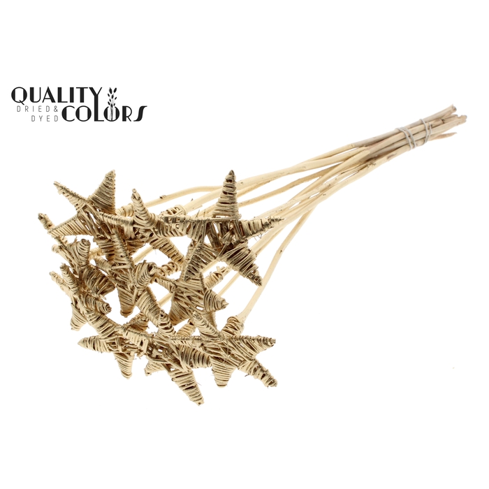<h4>Lata Star on stem Antique Gold</h4>