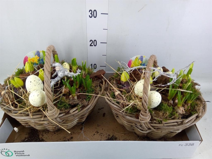 <h4>Arr.   Bol/Knolgewas L%</h4>