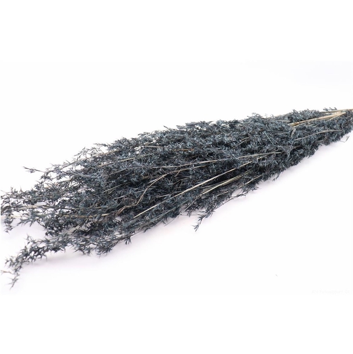 <h4>Dried flowers Beta grass 100cm</h4>