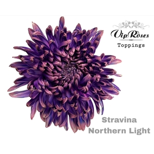 CHR G STRAVINA Paint NORTHERN LIGHT