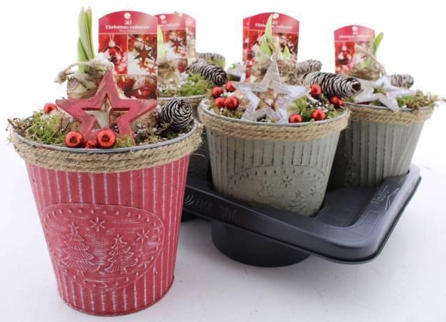 <h4>ARR BOL KNOLGEWAS</h4>