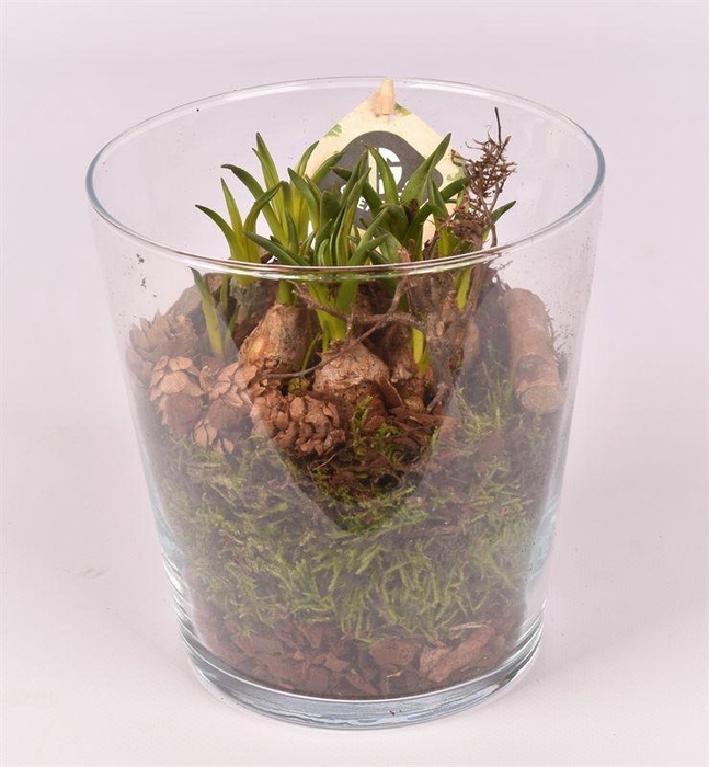 <h4>Glas potje 13 cm</h4>