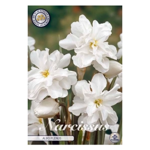 Narcissus Double Albo Plenus x5 14/16