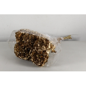 DF Hydrangea Antique Gold