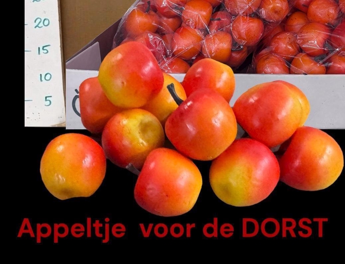 <h4>HUIS EN TUINDECO H%</h4>