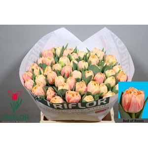 TU DU BED OF ROSES