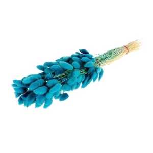 Dried flowers Lagurus 55cm