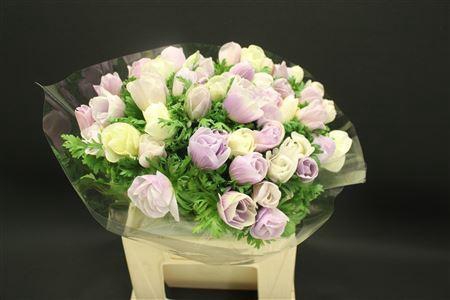 Anem Z Mistra Pale Milka