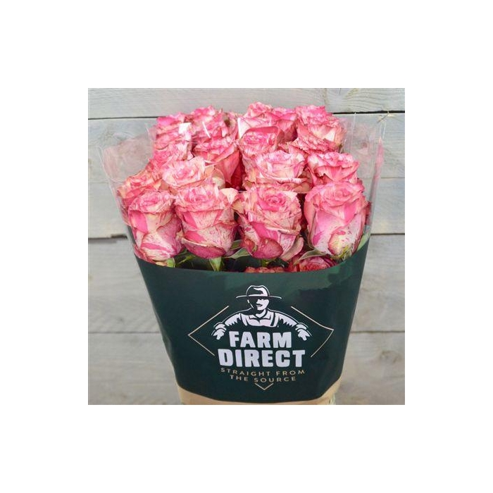 <h4>R Gr Magic Times</h4>