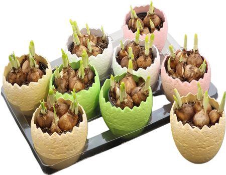 <h4>Arr N Tete A Tete Ei Keramiek Mix</h4>