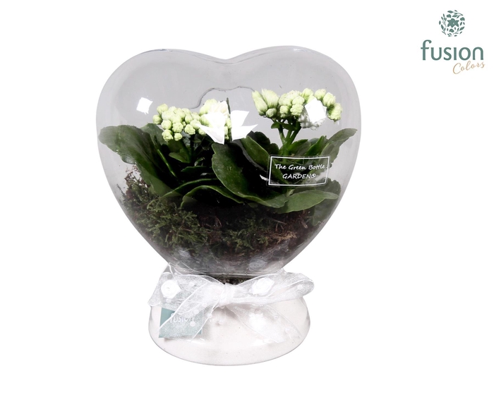 <h4>Green Bottle Hart met Kalanchoe</h4>