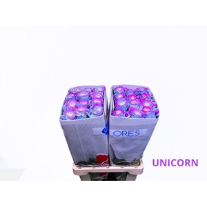 R GR UNICORN
