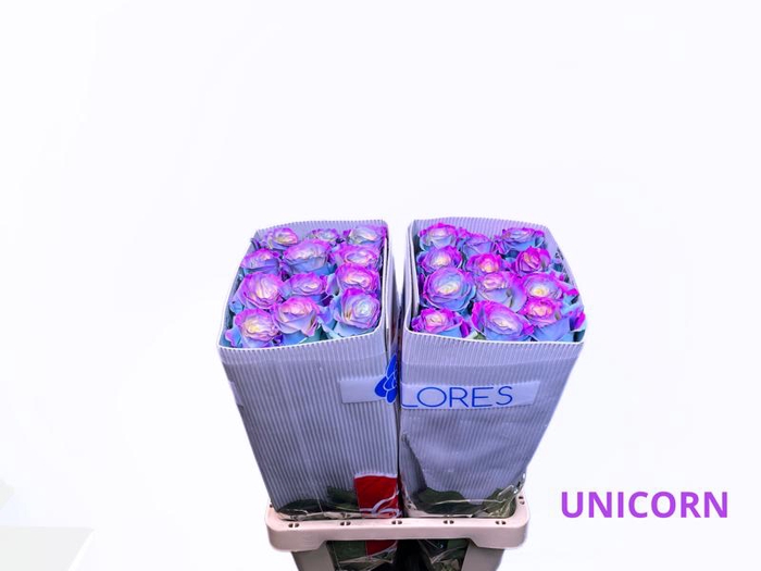 <h4>R GR UNICORN</h4>