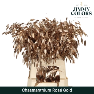 Chasmanthium L70 Metallic Rose Gold