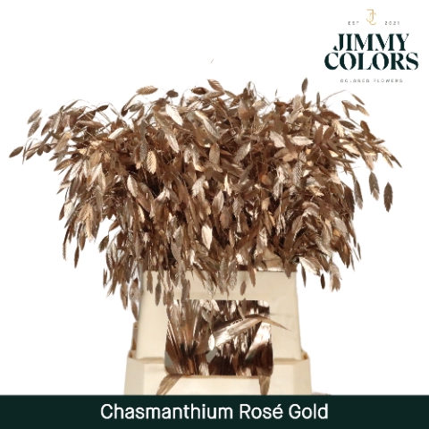 <h4>Chasmanthium L70 Mtlc. Rose Goud</h4>