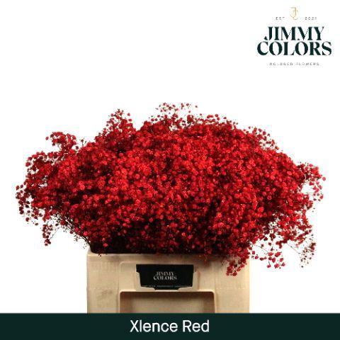 <h4>Gyps Xlence L60 Red</h4>