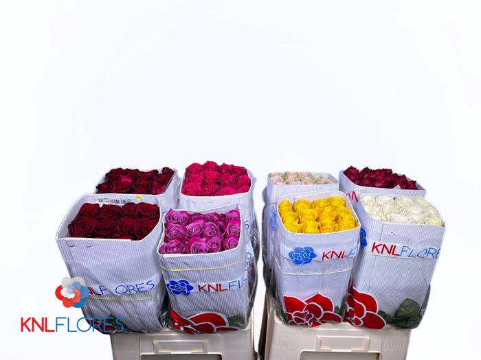 <h4>R GR GEM IN FUST</h4>