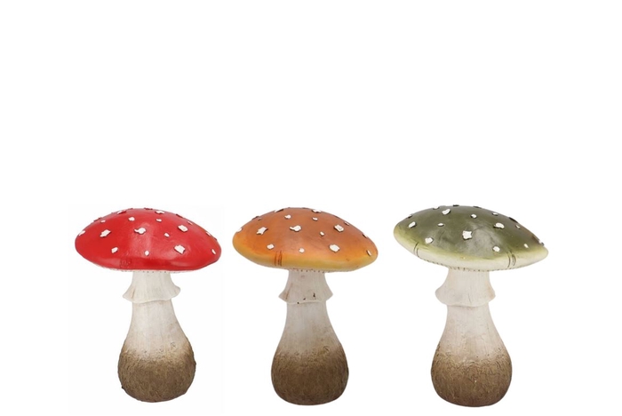 Wonderland Mushroom Scottisch Spice Amanita Ass 14x14x19cm