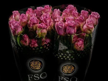 <h4>R Gr Cool Water</h4>