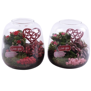 Valentine Arr. Indoor Glass Vase Terrarium Round Ø19cm 2PP