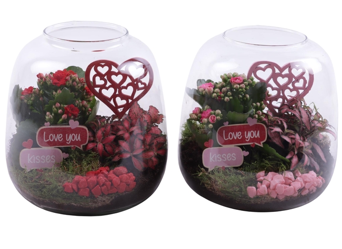 <h4>Valentine Arr. Indoor Glass Vase Terrarium Round Ø19cm 2PP</h4>