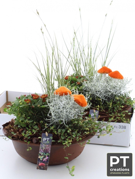 <h4>ARR TUINPLANTEN</h4>