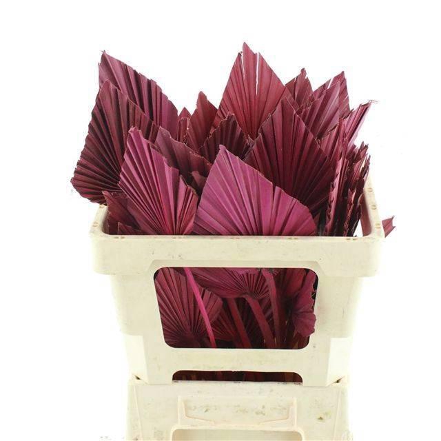 <h4>DROOGBL BEWERKT H%</h4>