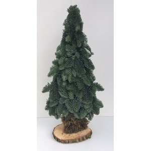 Nobilis Kerstboom Plat 60 Cm