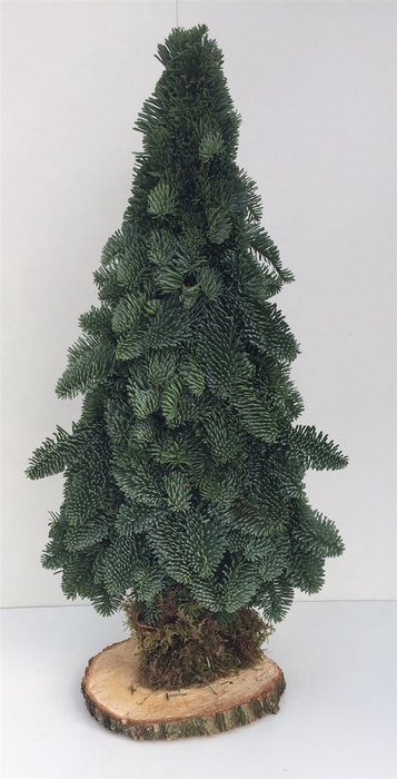 <h4>Nobilis Kerstboom Plat 40 Cm</h4>