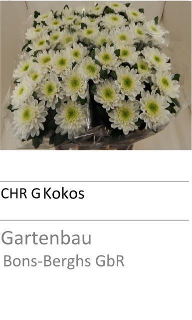 CHR G KOKOS