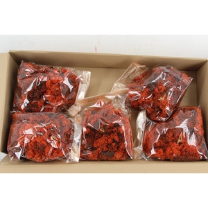 Moss Icelandic 500gr Orange