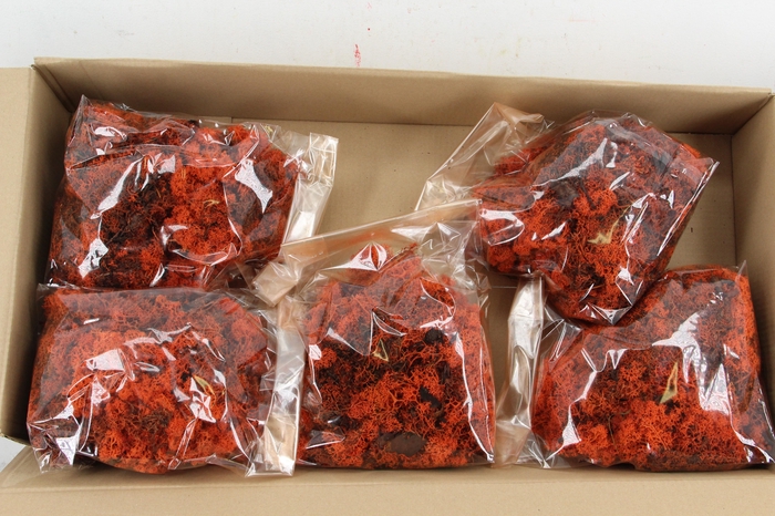 <h4>Moss Icelandic 500gr Orange</h4>