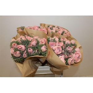 Anem Marianne Powder Salmon