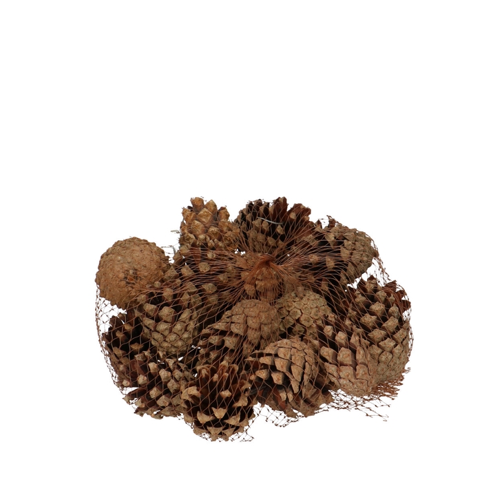 <h4>Pine cone Sylvester 200g</h4>