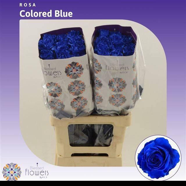 <h4>R GR OV KLB H%</h4>