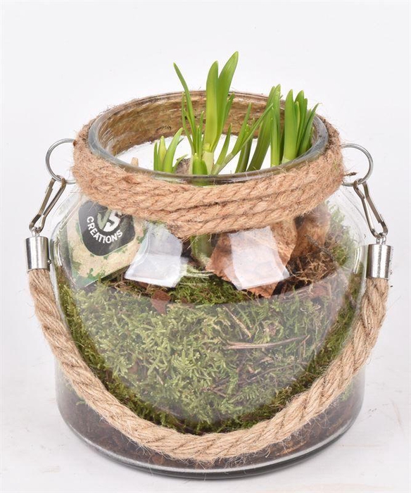 <h4>Glas vaas met touw 16cm</h4>