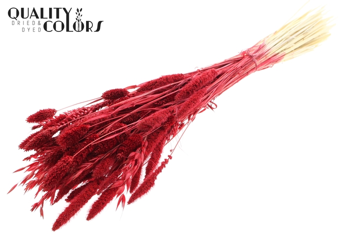 <h4>Dried Flower Mix bunch Bleached Red</h4>