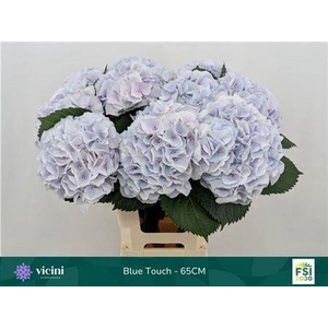 Hydr M My Pinktou Bl 65cm