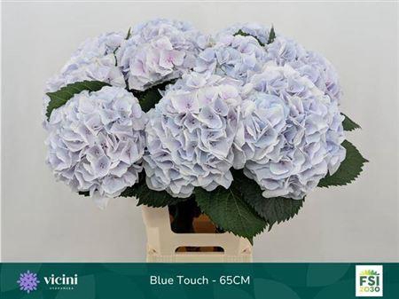 <h4>Hydr M My Pinktou Bl 65cm</h4>