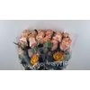 R GR PRINCESS CROWN Welyflor