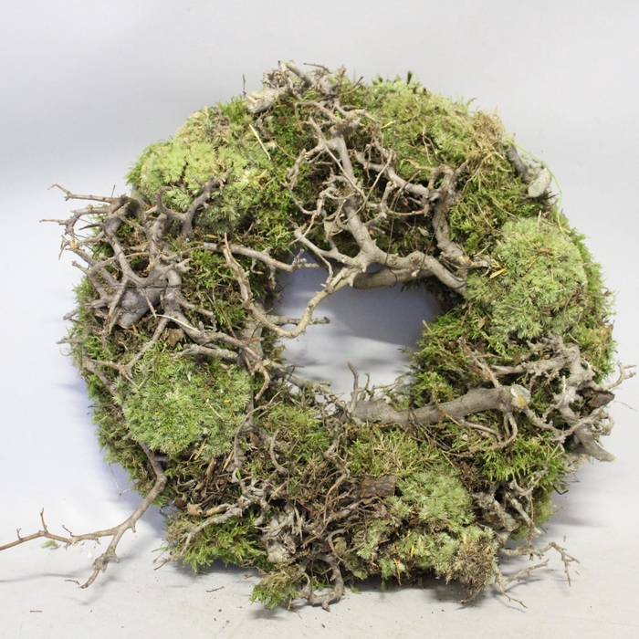 <h4>Krans Bolmoos Bonsai 35cm</h4>