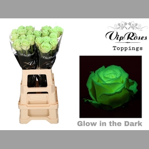 R GR GLOW IN THE DARK PREMIUM x20