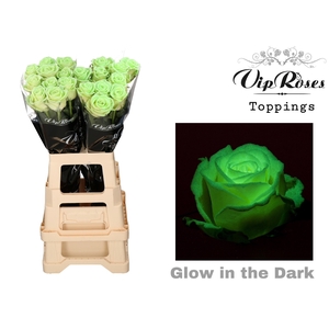 R GR GLOW IN THE DARK PREMIUM x20