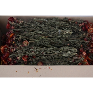 DF Helichrysum Bs Red 115g