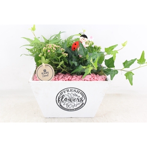 arr2 PL - Hout 4kant pot los roze