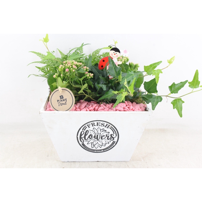 <h4>Arr2 Pl - Hout 4kant Pot Los Roze</h4>