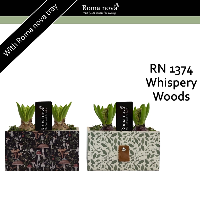 <h4>Hya Rom 1374 Whispery Woods</h4>