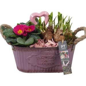 PTVO3608 Arrangement Valentine Outdoor in metalen schaal